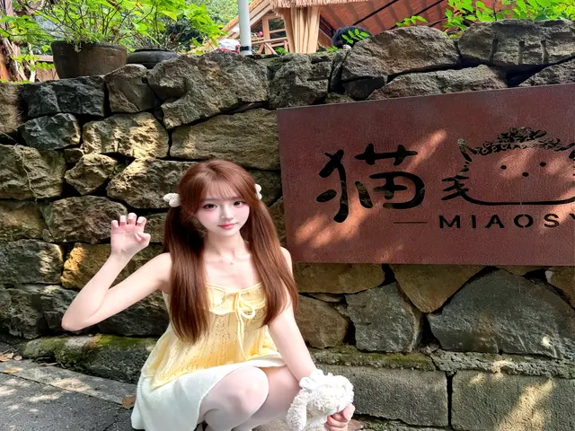 上海龙凤鲜花坊花材与包装