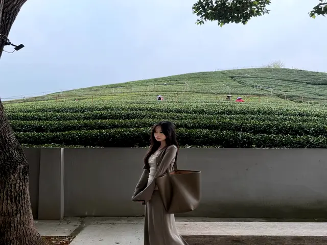 上海龙凤鲜花坊 愚园路 实拍 3