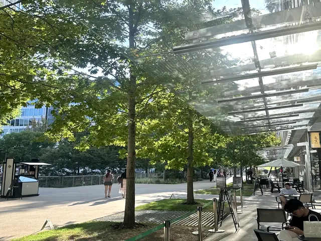 上海龙凤419地址 田子坊 实拍 2