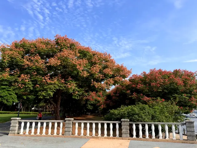 上海龙凤419地址 田子坊 实拍 3